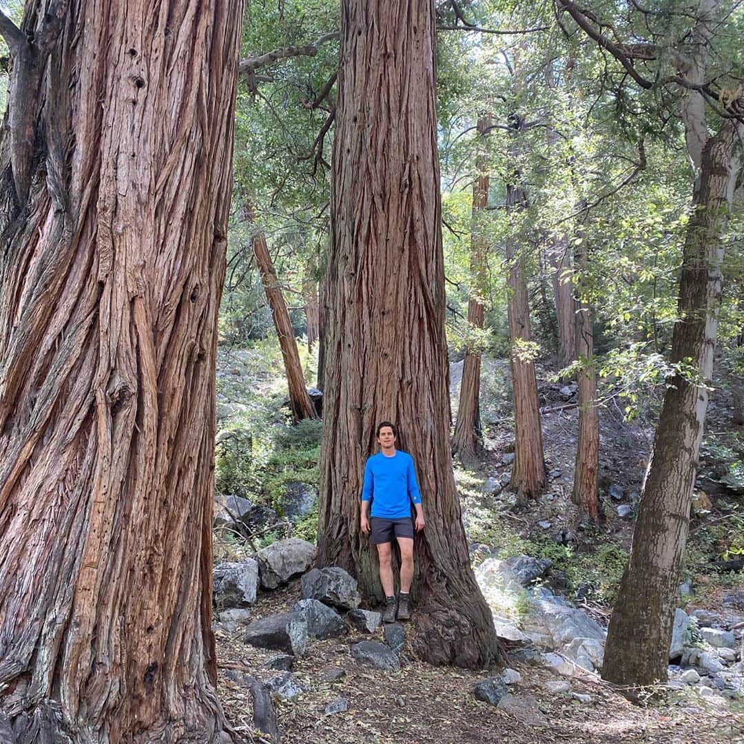 マット・ボマーのインスタグラム：「California has some of the most incredible forests in the world. We went on a mission to get some fresh air, and a feel for Autumn in Southern California (where fall is pretty hard to find). Though it’s not quite New England, this place has a beauty all it’s own. It’s been a tough year for our national forests. Head to the link in my bio to join me in donating to plant new trees, restore watersheds, and protect crucial habitats. And please let me know in the comments if you know a good spot to find fall colors near LA. 🍂 🍁 @nationalforests  thank you @parkertomparker for the recommendation! P.S. Unfortunately we didn’t see any bears or snakes, but we did see quite a few chipmunks.」