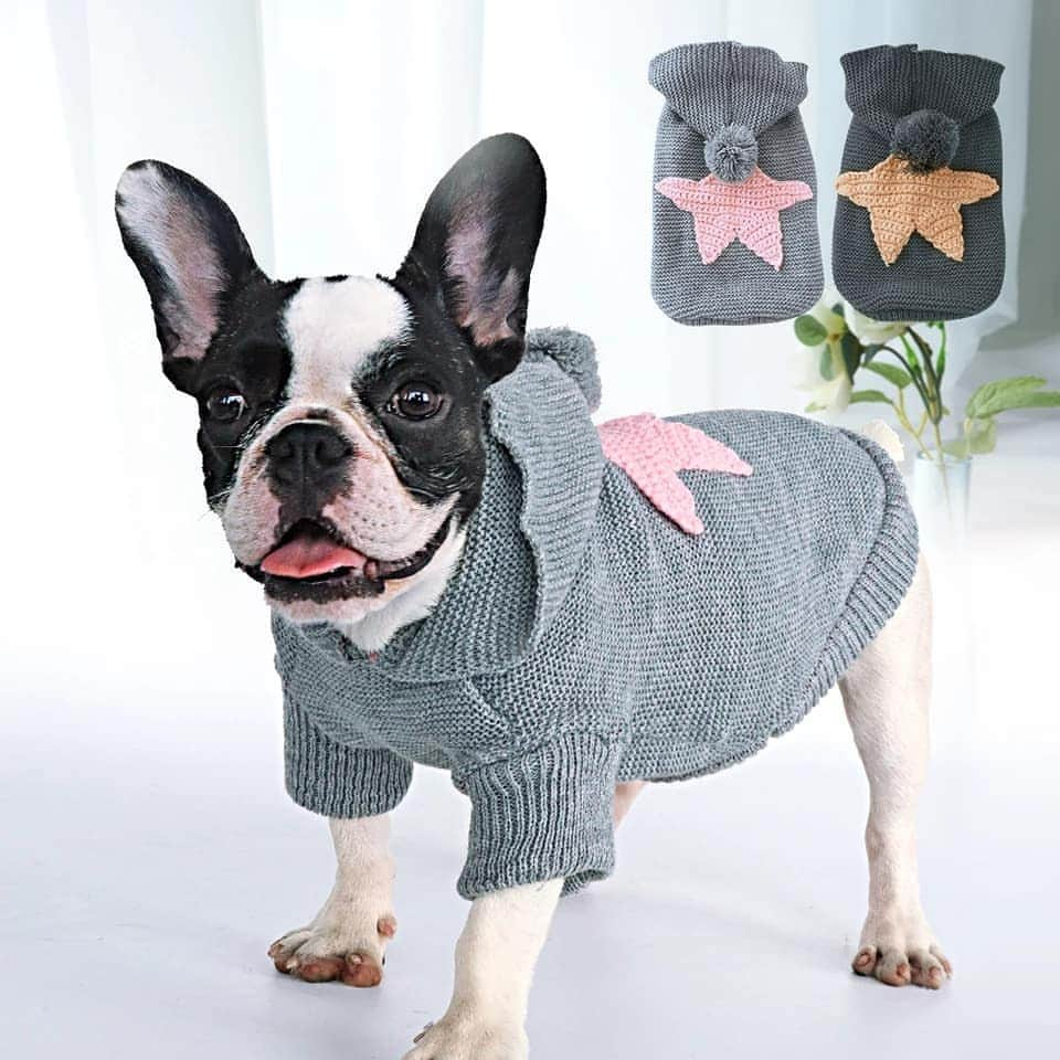 French Bulldogさんのインスタグラム写真 - (French BulldogInstagram)「Dogs will stay warm this winter holiday season in the Woolen Star Dog Sweater Hoodie by @frenchie.world 🐏⭐ LINK IN BIO 🔝🔝🔝 . . . . . #frenchbulldog #frenchiesforjustice #frenchiephotos #blackfrenchie #thefrenchielove #buhibuhi_official #frenchiehype #frenchielovers #法國鬥牛犬 #法鬥犬 #法國老虎狗 #法斗 #法鬥 #フレンチブルドッグ #프랑스불독 #buhi #instafrenchbulldogs #frenchbulldog #frenchiecrew #frenchieworld #frenchielife #frenchie #frenchieofinstagram #frenchbulldog」10月25日 3時36分 - frenchie.world