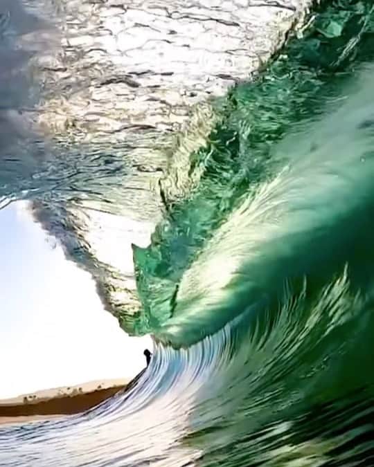 Robbie Crawfordのインスタグラム：「Morning Light @smkflwr #GoPro」