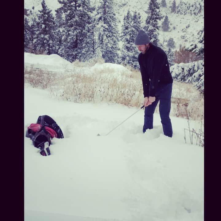 イアン・ボーエンのインスタグラム：「Be courageous. Find your balls. * Don’t take snow for an answer.」