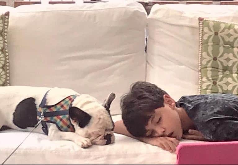 Eliana Michaelichin Bezerraのインスタグラム：「Aquele soninho depois do almoço... 🙈🥰 #truelove #doglovers」