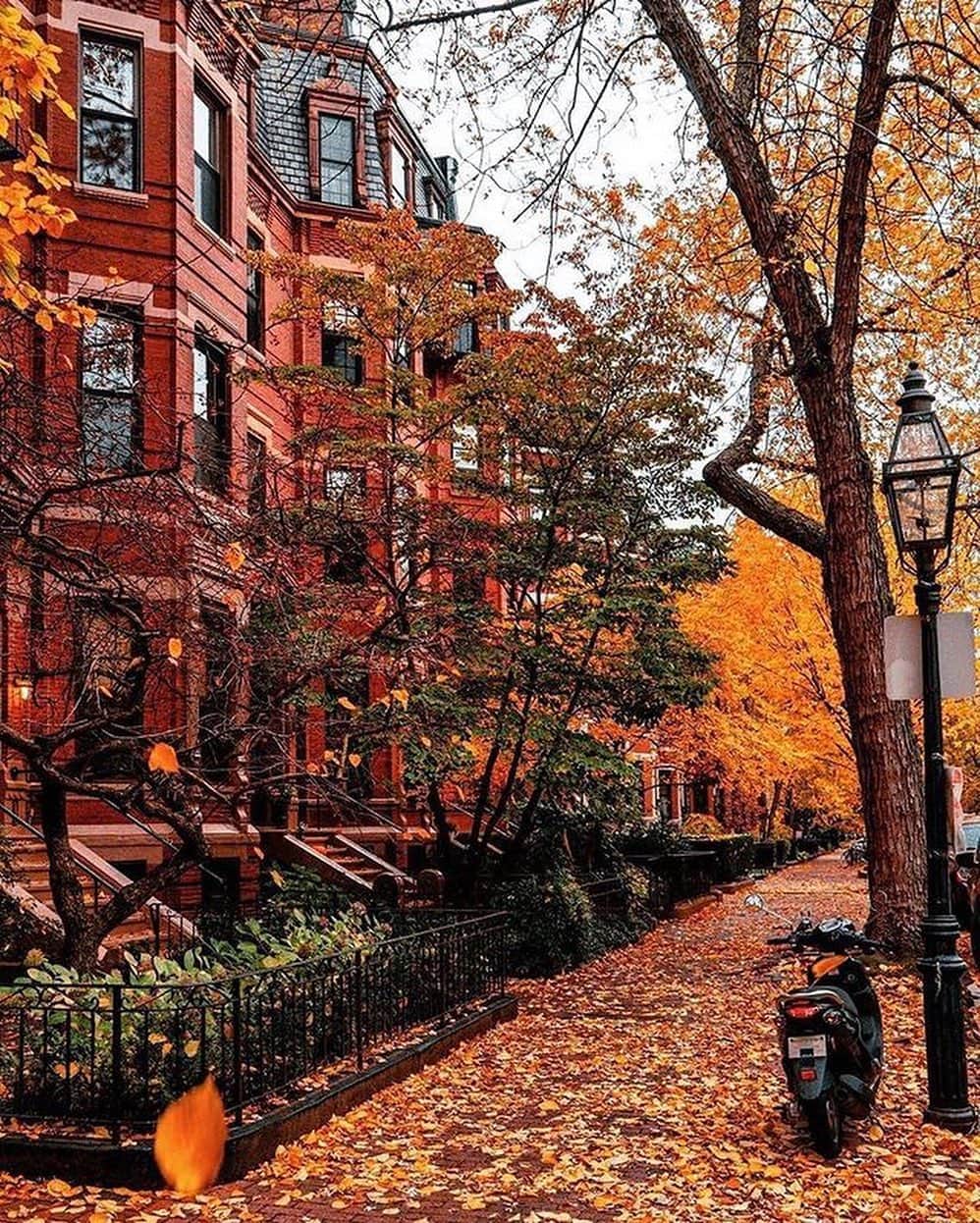 Canon Photographyさんのインスタグラム写真 - (Canon PhotographyInstagram)「Autumn in Boston 🍂 Photography // @pocketboston Curated by @steffeneisenacher  #autumn #autumnvibes🍁 #fallfoliage #boston #bostonmassachusetts」10月25日 5時59分 - cpcollectives
