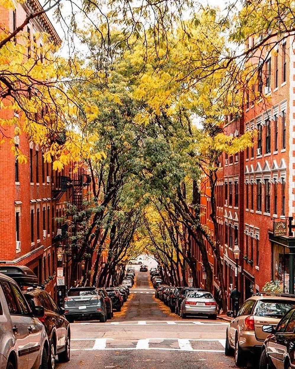 Canon Photographyさんのインスタグラム写真 - (Canon PhotographyInstagram)「Autumn in Boston 🍂 Photography // @pocketboston Curated by @steffeneisenacher  #autumn #autumnvibes🍁 #fallfoliage #boston #bostonmassachusetts」10月25日 5時59分 - cpcollectives