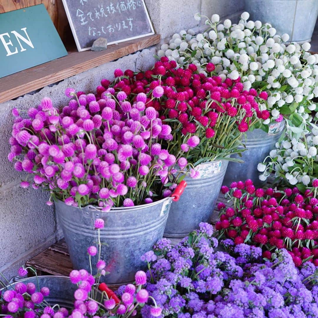 前田有紀さんのインスタグラム写真 - (前田有紀Instagram)「Hanako.tokyoのコラム「週末気分転"花"」がアップされました。先日の出張の際に訪れた山梨県北杜市のお花屋さん、Flowers For Lenaのこと。オーナーにお会いできて、お話をうかがい農園も見させていただきました。 . また、長野県佐久穂町の「ヒゲめがね」という美味しいカレー屋さんのことも。 会いたい人に会う、見たかった景色を見る。やっぱり旅はいい。少し前まではごく当たり前だったことを新鮮に感じながら綴りました。 . @hanako_magazine   https://hanako.tokyo/column/yuki-maeda-weekend/184396/」10月25日 11時28分 - yukimaeda0117