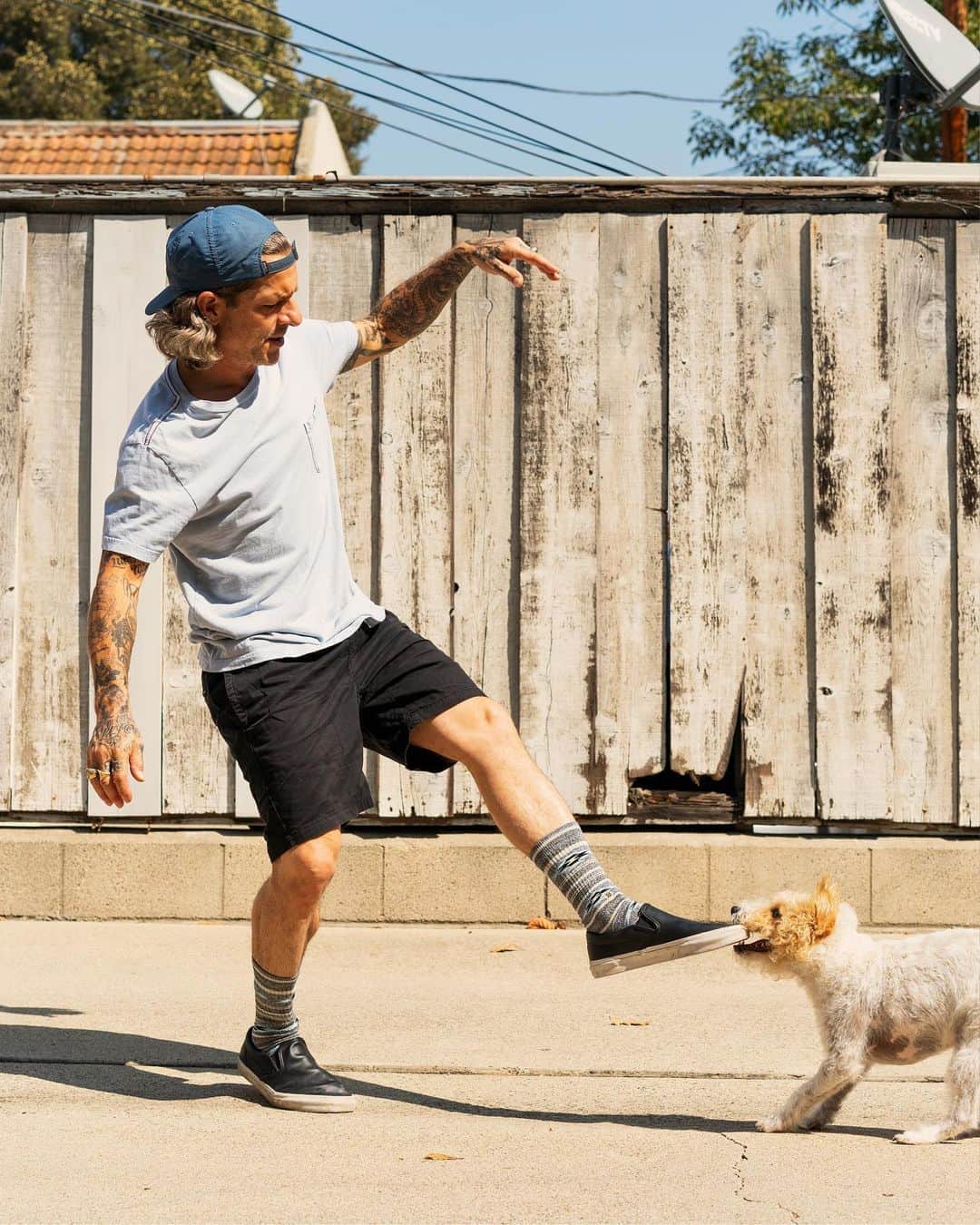 Stanceのインスタグラム：「Comfort that last 🧦 🐶 💪... Shop our new Butter-blend™️ collection built with INFIKNIT™️ technology, which is guaranteed for life ♾. Available now on Stance.com  @markoblow  #punksandpoets  #blue 🐶」