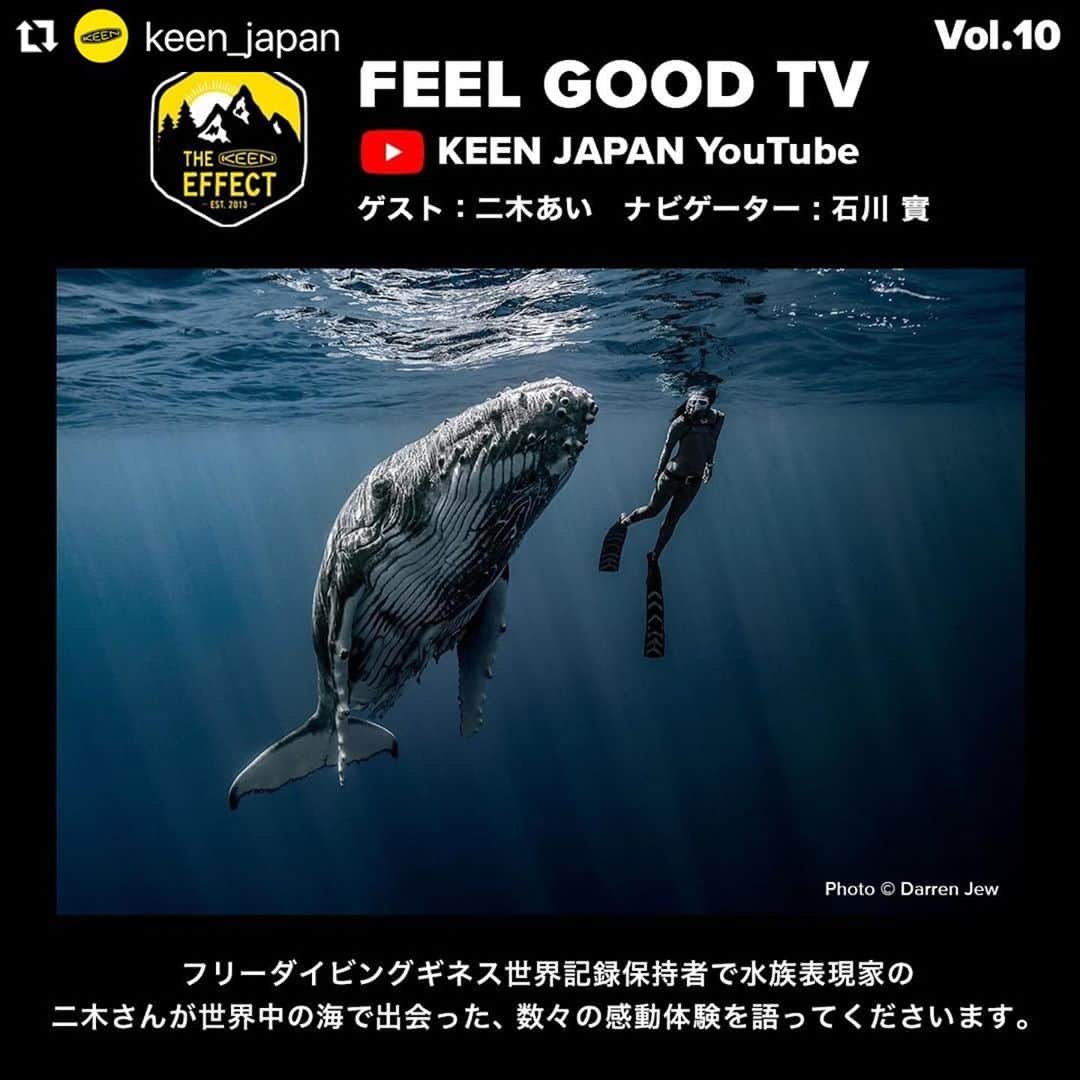 二木あいのインスタグラム：「#Repost @keen_japan  ・・・ ＼世界中の海で、感性を研ぎ澄まして水と一体になる🐬／ ・ 【FEEL GOOD TV ON KEENSTREAM】は、世界にポジティブな変化を作りだすことをテーマにお送りする番組。ナビゲーターにDJ石川實を迎え、今回は、フリーダイビングギネス世界記録保持者で水族表現家の二木あいさんをゲストに配信します。 ・ ▶FEEL GOOD TV Vol.10 https://www.youtube.com/watch?v=2gkl0ZoPVnY ・ 二木さんが世界中の海で出会った、数々の感動体験を、貴重な写真・映像と共に語ってくださいます。感性を研ぎ澄まし、海と一体になりながら、自ら撮影者にも被写体にもなる二木さん。彼女を通じて届いた海からのメッセージを、ぜひ、受け取ってください。 ・ #KEEN #KEENEFFECT #FEELGOODTV #YOUTUBE #YOUTUBELIVE #TOGETHERWECANHELP #石川實 #SOCIALGOOD #二木あい #水族表現家 #フリーダイビング #ギネス世界記録保持者 #感性を研ぎ澄まして水と一体になる #WeAreKEEN ・ Cover Photo @darrenjew  Short Film during the Show @cassiedecolling」