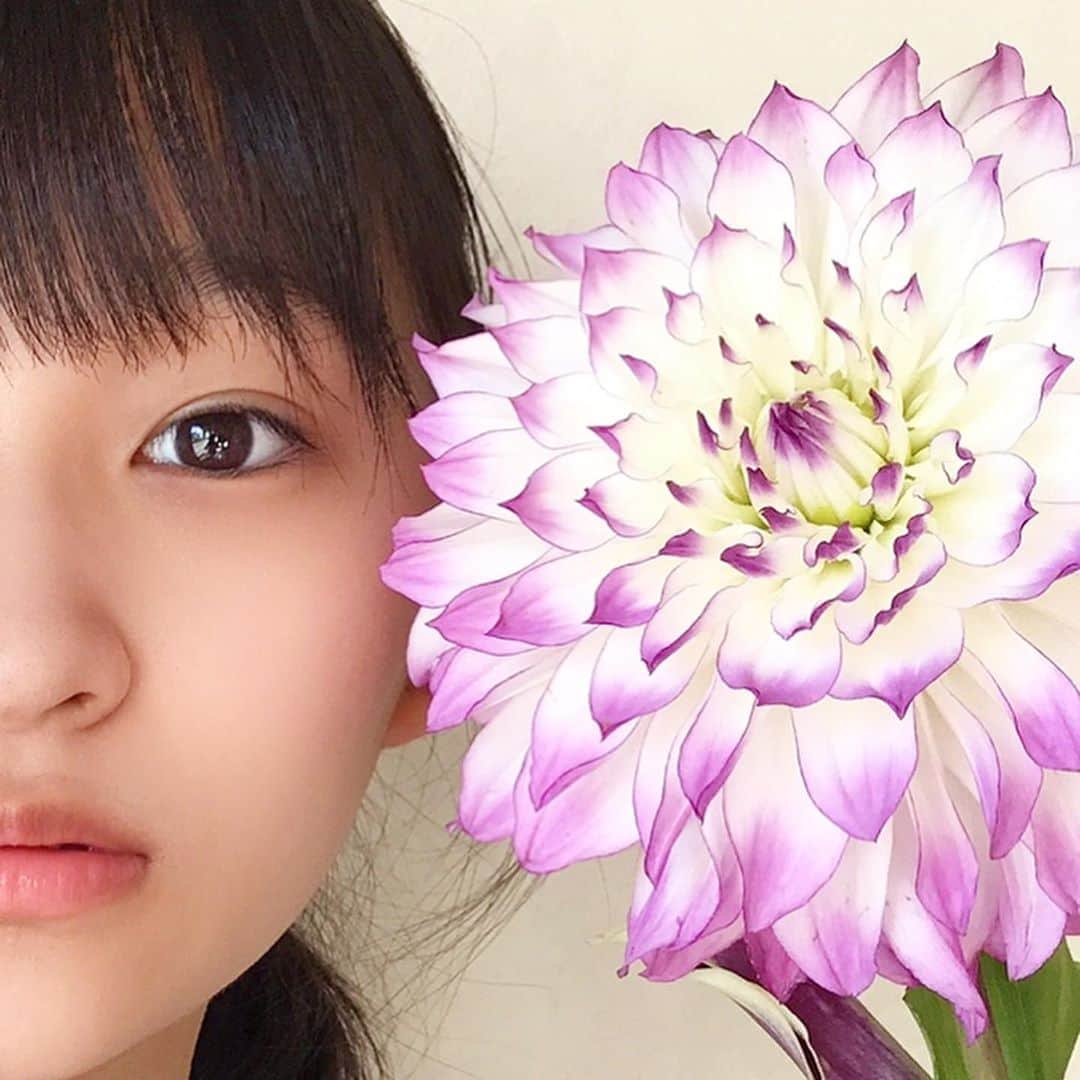 前野えまさんのインスタグラム写真 - (前野えまInstagram)「最近気になるお花💐 💜ダリア💜 ・ ・ #紫の花 #大輪 #花 #一輪の花 #ダリア #花のある暮らし #花の写真 #お花好きな人と繋がりたい   #dahlia #purple #violet #flowers #flowerstagram #flowerphotography #flowersofinstagram #flowerlovers  #followme #tagsforlikes #tflers #tagsforlikesapp #actress #actor #girl #photography #portrait #portraitphotography #daily_phot_jpn #japan_daytime_view」10月25日 8時32分 - maeno_ema