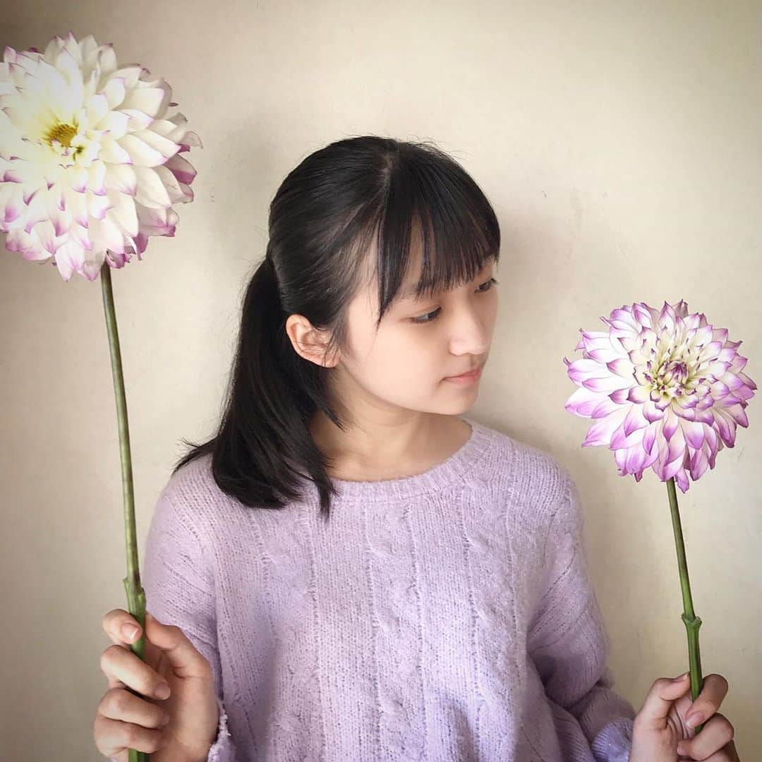 前野えまさんのインスタグラム写真 - (前野えまInstagram)「最近気になるお花💐 💜ダリア💜 ・ ・ #紫の花 #大輪 #花 #一輪の花 #ダリア #花のある暮らし #花の写真 #お花好きな人と繋がりたい   #dahlia #purple #violet #flowers #flowerstagram #flowerphotography #flowersofinstagram #flowerlovers  #followme #tagsforlikes #tflers #tagsforlikesapp #actress #actor #girl #photography #portrait #portraitphotography #daily_phot_jpn #japan_daytime_view」10月25日 8時32分 - maeno_ema