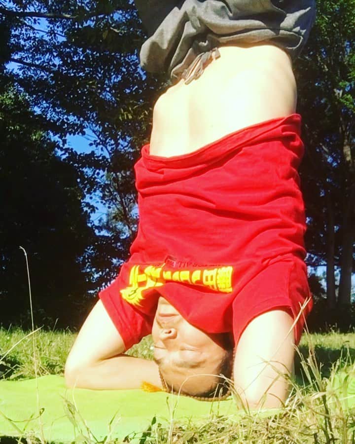福田洋のインスタグラム：「タイトルマッチが近いので大自然とコネクトするべく外トレ🌳🌞  #basara_pw #yoga #sirshasana」
