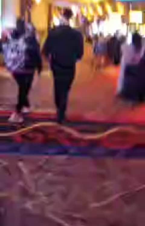 ジョンス のインスタグラム：「just touched down at mohegan sun」