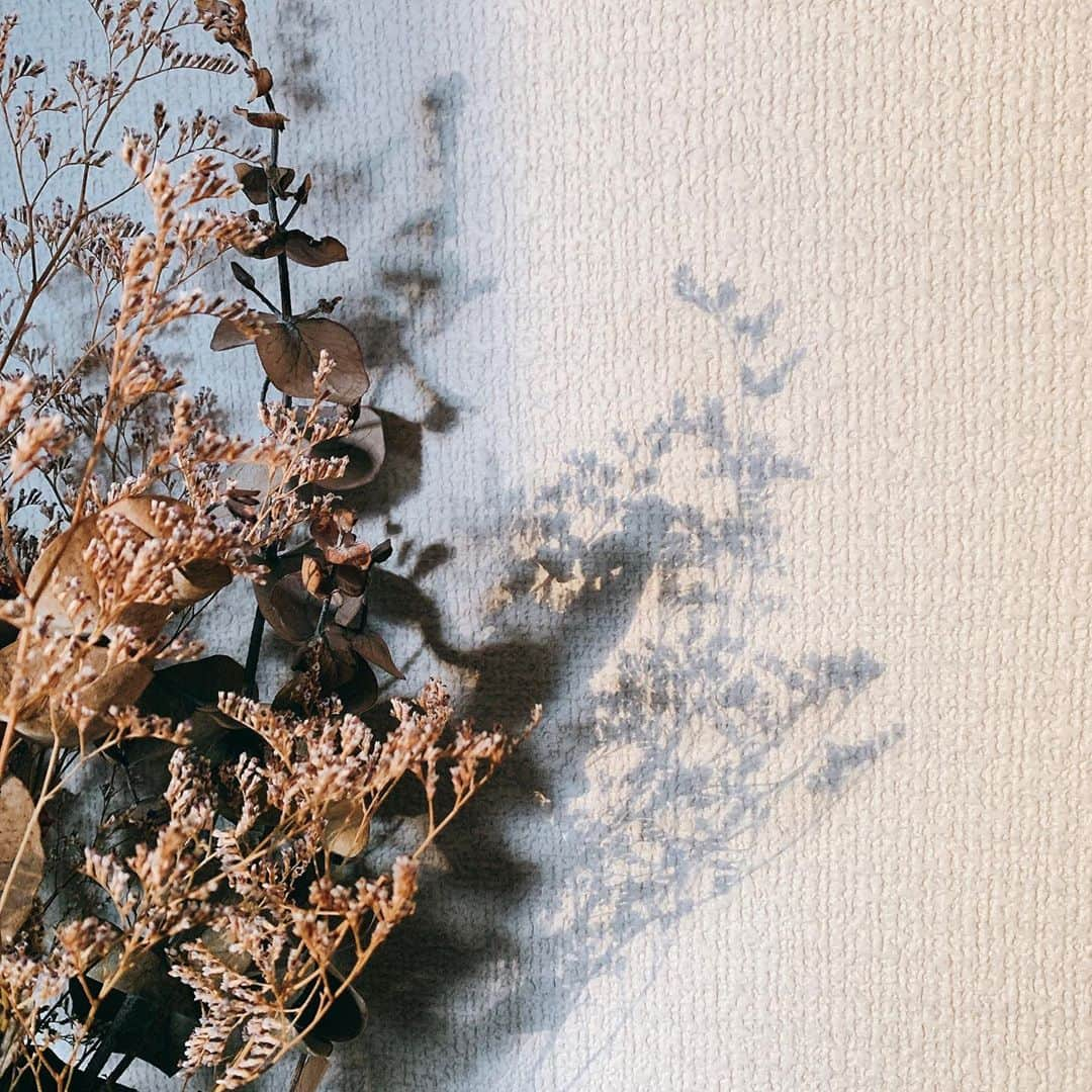 レオラさんのインスタグラム写真 - (レオラInstagram)「ｓｈａｄｏｗｓ🌓🦋 and ｆｌｏｗｅｒｓ💐」10月25日 19時19分 - leola_official