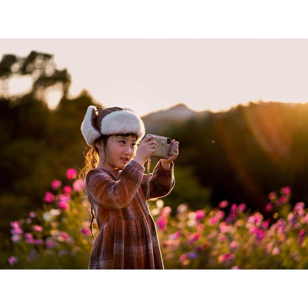 Kyooonのインスタグラム：「秋桜 ﻿ ﻿ 長女がママの携帯で撮らせて？ とよくスマホで写真を撮りたがるのだけど、 いやめっちゃ上手。 私なら絶対撮らないようなところにも興味が向いてるので、 おおお、こんな風に撮るんだと逆に勉強になるし 見せ合って共有するのも楽しい。 長女用に小さなカメラを買ってみたのでこれからどんどん撮ってもらおう☺️📷﻿ ﻿ 5枚目からは長女がスマホで撮った写真。﻿  #秋桜#コスモス#長女#6歳#ママカメラ#カメラ練習中#レタッチ練習中」