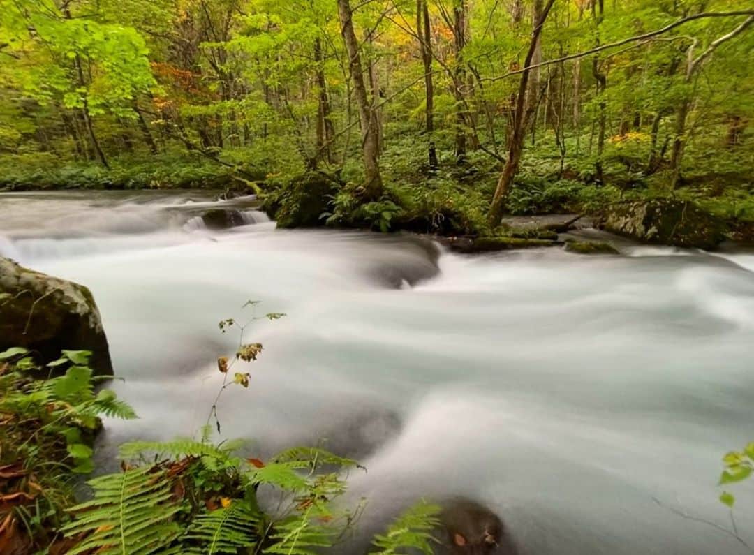 のインスタグラム：「Oirase mountain stream. Aomori, Japan.  奥入瀬渓流。 青森🍎」
