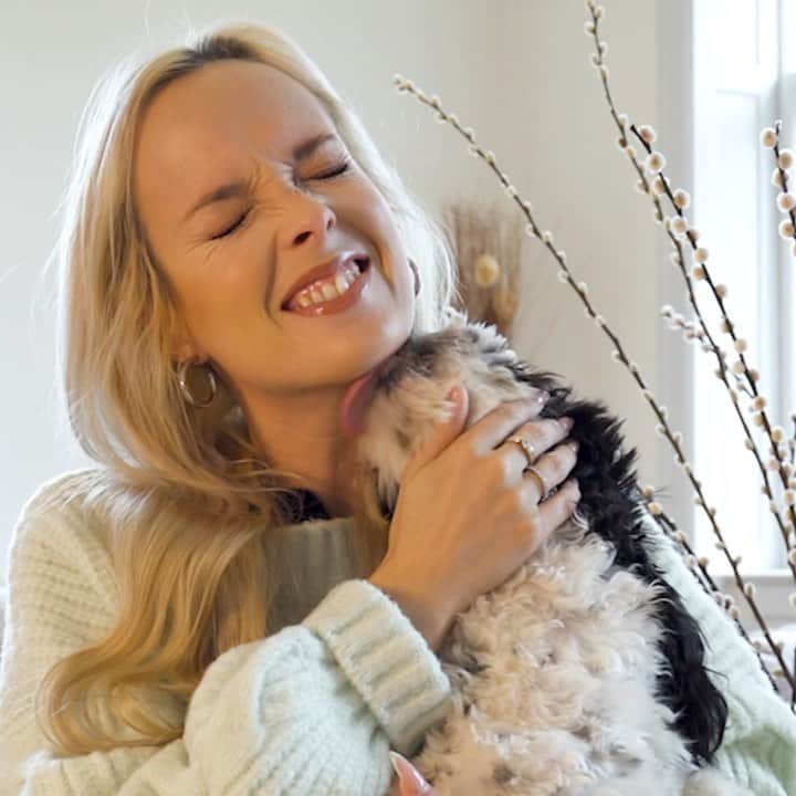 Nika Kljunのインスタグラム：「He’s softer than my softest sweater! Can you tell?? 😆😭🐶🐾 . We are super excited for tonight! Check my stories to see why! 💃🏼💃🏼  @redibujate @amarbailar u ready Paraguay 🇵🇾? . #animalslover #thebestfeeling #puppykisses #bestdogs #sundayvibes #zoomclasses #signup #danceonline #dancersofinstagram #danceworld #paraguay🇵🇾」