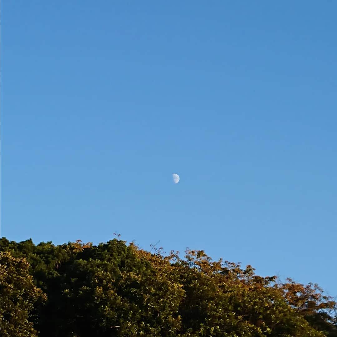 吉井怜さんのインスタグラム写真 - (吉井怜Instagram)「明るい時間に見えた月🌛  10月も後１週間❗ もう、あっという間😂」10月25日 20時34分 - rei_yoshii