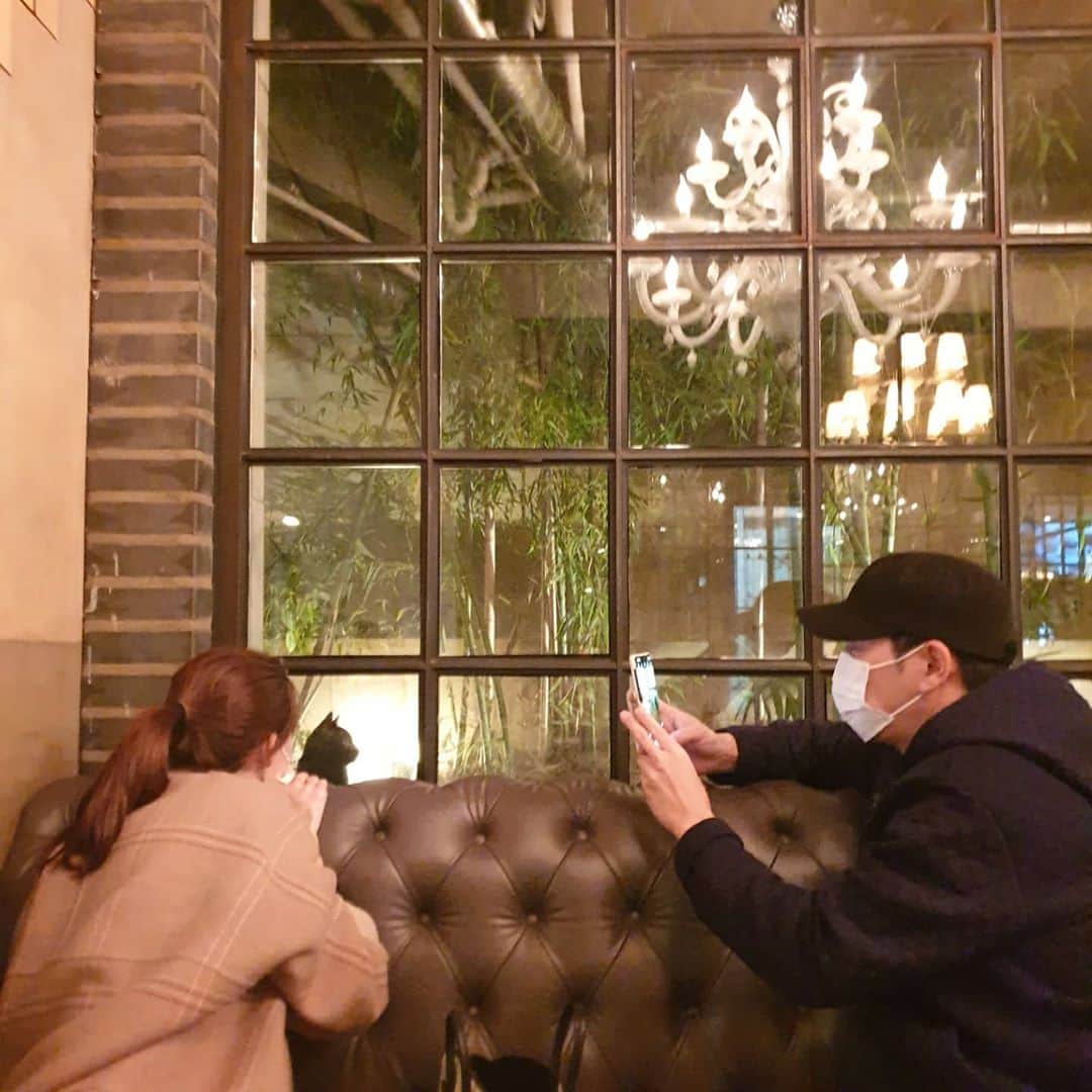 チャ・イェリョンさんのインスタグラム写真 - (チャ・イェリョンInstagram)「🐈🖤 . . 📷 @ggunss 🖤」10月25日 11時46分 - chayeryun