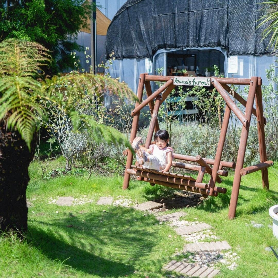 LOVEGREEN -植物と暮らしを豊かに。さんのインスタグラム写真 - (LOVEGREEN -植物と暮らしを豊かに。Instagram)「[🚗ベルランゴと植物のある暮らし🌿] . 趣味を楽しみつくすための新型レジャーアクティビティビークルとして話題のシトロエン「ベルランゴ」。 . LOVEGREENでは3⼈のボタニカルピープルによるベルランゴの楽しみ⽅を全6回でお届け中です。 . ------- . 仕事は、世界中のカッコイイ植物を日本の家や庭に広めること。休日は、可愛いお3姉妹のお子さんと一緒に遊ぶパパ。 . ちょっと珍しい植物の販売や、今の暮らしにマッチした庭施工を行うmana’s greenの真中隆之介さん(@manas.manaka )にとって車は、仕事（オン）と休日（オフ）両方で欠かせない相棒。 . その2つの条件を完璧に満たす新型レジャーアクティビティビークル「ベルランゴ」を、昨年の先行販売時からチェックしていたという真中さんに、改めてその魅力を伺いました。 . ------- . 詳しくはプロフィール( @lovegreen_official )のURLよりチェック🌿 「ベルランゴ」から見てみてくださいね🌼 . #車 #植物 #ベルランゴ #シトロエン #ドライブ #アウトドア #外出 #家族 #おでかけ #外出 #レジャー #観葉植物初心者 #園芸初心者 #観葉植物のある暮らし #グリーンのある暮らし #インドアグリーン #緑のある生活 #観葉植物初心者 #観葉植物が好き #シンプルな暮らし #シンプルライフ #暮らしを楽しむ #日々の暮らし  #マンション暮らし #植物のある暮らし #植物のある生活 #植物と暮らす #ベランダ #インテリア #部屋」10月25日 12時01分 - lovegreen_official
