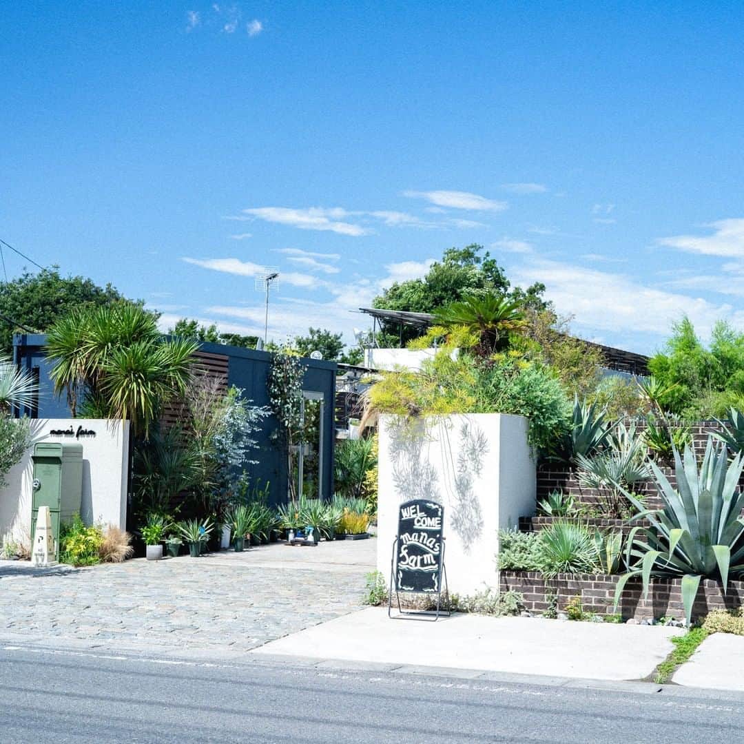 LOVEGREEN -植物と暮らしを豊かに。さんのインスタグラム写真 - (LOVEGREEN -植物と暮らしを豊かに。Instagram)「[🚗ベルランゴと植物のある暮らし🌿] . 趣味を楽しみつくすための新型レジャーアクティビティビークルとして話題のシトロエン「ベルランゴ」。 . LOVEGREENでは3⼈のボタニカルピープルによるベルランゴの楽しみ⽅を全6回でお届け中です。 . ------- . 仕事は、世界中のカッコイイ植物を日本の家や庭に広めること。休日は、可愛いお3姉妹のお子さんと一緒に遊ぶパパ。 . ちょっと珍しい植物の販売や、今の暮らしにマッチした庭施工を行うmana’s greenの真中隆之介さん(@manas.manaka )にとって車は、仕事（オン）と休日（オフ）両方で欠かせない相棒。 . その2つの条件を完璧に満たす新型レジャーアクティビティビークル「ベルランゴ」を、昨年の先行販売時からチェックしていたという真中さんに、改めてその魅力を伺いました。 . ------- . 詳しくはプロフィール( @lovegreen_official )のURLよりチェック🌿 「ベルランゴ」から見てみてくださいね🌼 . #車 #植物 #ベルランゴ #シトロエン #ドライブ #アウトドア #外出 #家族 #おでかけ #外出 #レジャー #観葉植物初心者 #園芸初心者 #観葉植物のある暮らし #グリーンのある暮らし #インドアグリーン #緑のある生活 #観葉植物初心者 #観葉植物が好き #シンプルな暮らし #シンプルライフ #暮らしを楽しむ #日々の暮らし  #マンション暮らし #植物のある暮らし #植物のある生活 #植物と暮らす #ベランダ #インテリア #部屋」10月25日 12時01分 - lovegreen_official