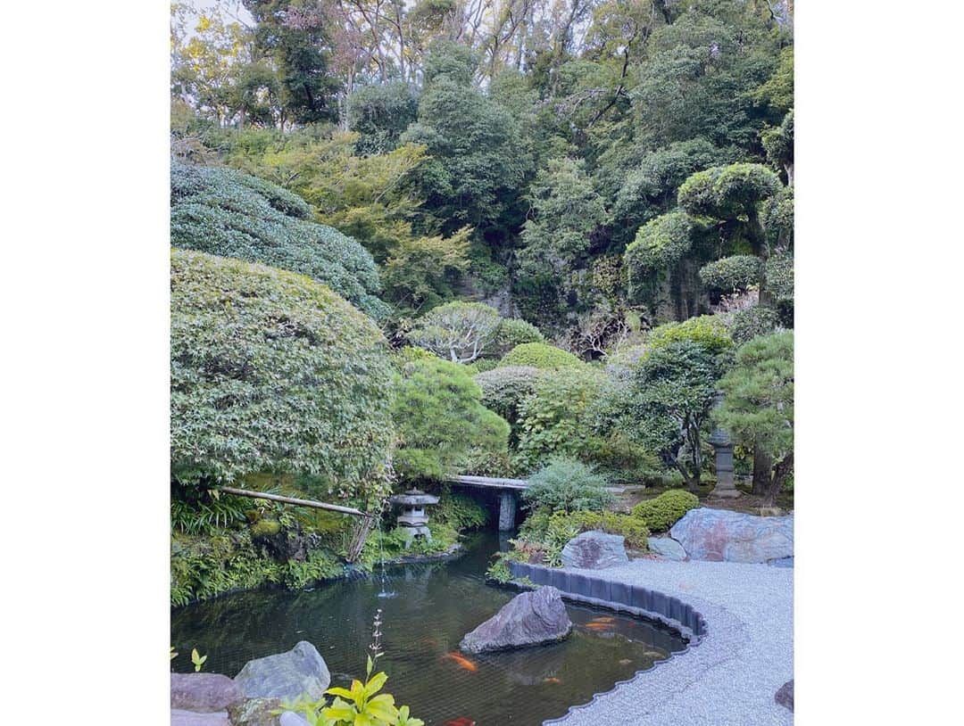 瀧口友里奈さんのインスタグラム写真 - (瀧口友里奈Instagram)「・ この週末、秋晴れが心地良いですね✨ ・ 鎌倉へ移住した友人の元に遊びに行ってきました⛩ ・ 緑に、海に、自然豊かで、 落ち着いた柔らかい時間が流れる場所🌿 ・ まっすぐ空へと伸びる竹林の美しさと言ったら…😌 心の中にもこんな場所があるといいなと、なんだか新しいイメージが膨らみました☁️ ・ もっとみんなと一緒にいたかった😙 @yukafuji Thank you so much🤍 ・ ・ #鎌倉 #kamakura #kamakurajapan  #材木座 #材木座海岸 #zaimokuza #zaimokuzabeach  #報国寺 #報国寺の竹林 #hokokuji #hokokujitemple #鶴岡八幡宮 #tsuruoka #tsuruokahachimangu #移住 #移住生活 #鎌倉移住#鎌倉旅行 #国内旅行 #秋旅 #秋服コーデ #秋コート #アナウンサー #キャスター #セントフォース #瀧口友里奈 #瀧口友里奈トラベル」10月25日 12時13分 - yurinatakiguchi