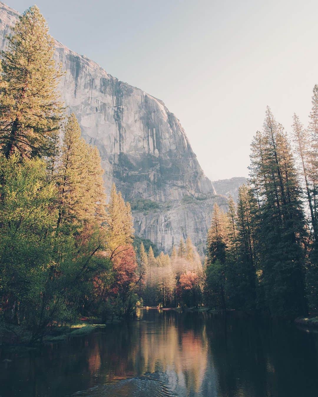 Kyle Kuiperのインスタグラム：「Early morning on the Merced River (Fall 2018) 🍂🏞」