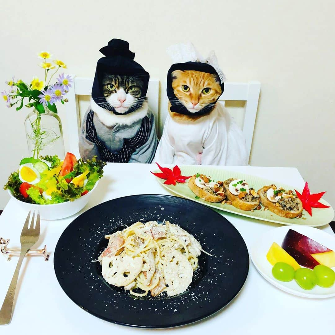 マロさんのインスタグラム写真 - (マロInstagram)「🍝世界パスタデー🍝 １９９５年１０月２５日にイタリア・ローマで「第１回世界パスタ会議」が開催されたことが由来だそうです。 October 25 is World Pasta Day. ✴︎ . 舞茸とれんこんのクリームパスタ (Maitake mushroom and lotus root cream pasta) . きのことアーモンドのブルスケッタ (Bruschetta with mushrooms and almonds) .サラダ (Salad) ✴︎ いつもコメントありがとうございます😺🙏💕 返信出来なくてすみません🙇‍♀️ 全て拝見しています🐾 ✴︎ Thank you for your kind comments😸🙏💕 I'm sorry that I couldn't reply. ✴︎ #cat#cats#catsofinstagram#😻 #pasta#chef#food#ねこ#ねこ部 #猫#世界パスタデー#パスタ #ねこのいる生活#料理#花 #斉藤和義#カーリングシトーンズ」10月25日 13時13分 - rinne172