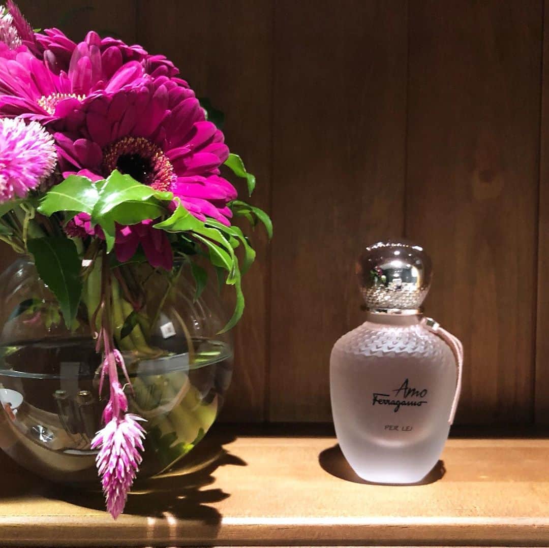 mmmcoco07さんのインスタグラム写真 - (mmmcoco07Instagram)「✴︎ 最近のお気に入り✨ . "Amo Ferragamo" 上品で優しい香りが印象的な ウッディフローラルムスクの香り . たくさんのお花に囲まれたような 華やかで優しい香りに癒されます . ボトルもピンクで可愛いのでインテリアにも☺︎ . . .  #amoferragamo#ferragamoparfums#アモフェラガモ#香水#parfum#parfume」10月25日 13時39分 - mmmcoco07