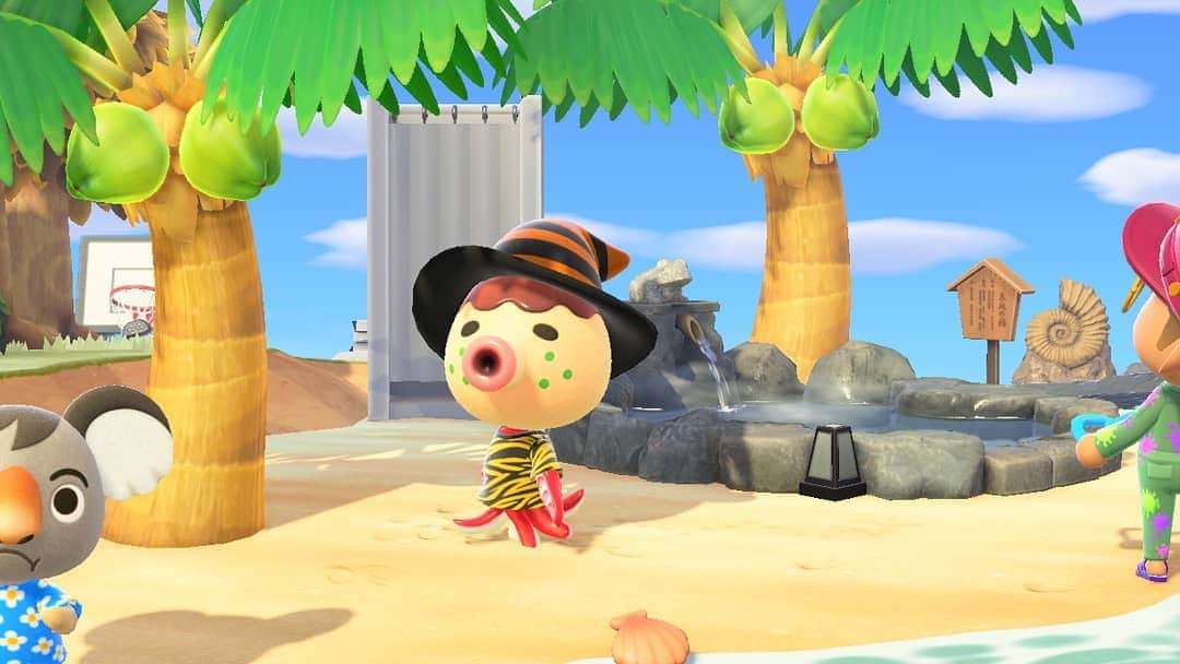 のインスタグラム：「虎キチ　タコヤ #どうぶつの森 #AnimalCrossing #ACNH #NintendoSwitch https://t.co/UJQ6QCqu6J」