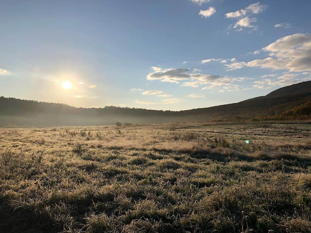 のインスタグラム：「先日の八甲田山、田代高原周辺。 霜がつき、黄金色に輝いていました。 .  ＼期間限定「紅葉最前線ツアー」11月4日まで／ . #紅葉最前線ツアー #八甲田山 #紅葉 #十和田八幡平国立公園 #星野リゾート奥入瀬渓流ホテル #hoshinoresorts #oirasekeiryuhotel  #青森県 #十和田市 #aomori #towada #japan」