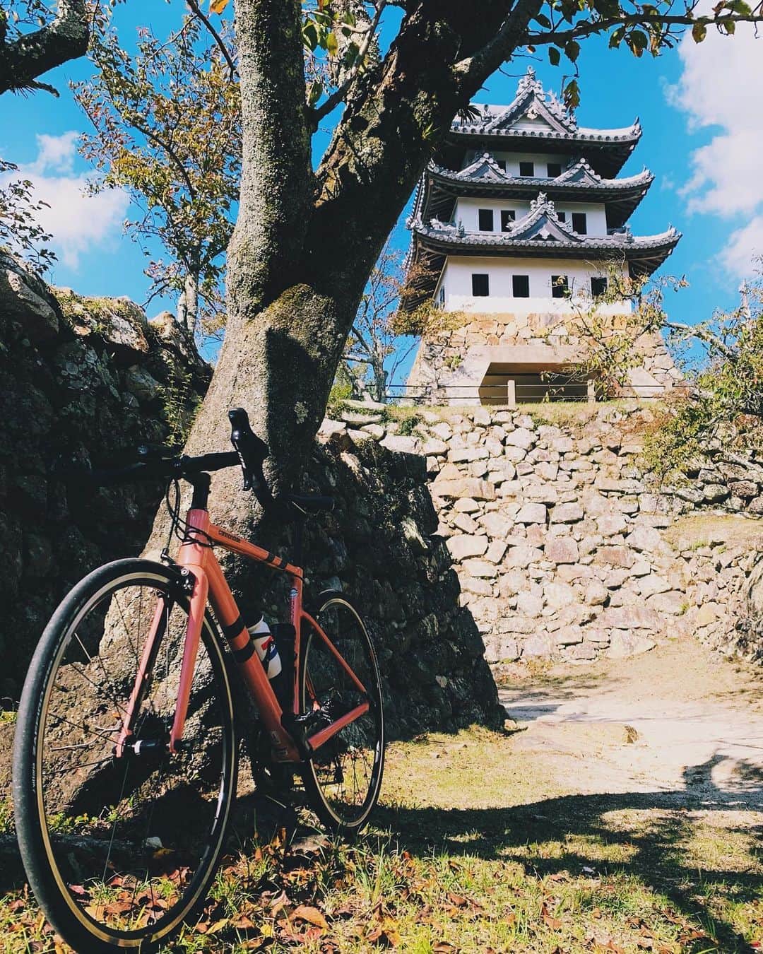 mana___chinのインスタグラム：「🏯またまた洲本城🏯  そろそろ冬用ジャージ欲しい🍁  #ロードバイク #ロードバイクのある風景 #ロングライド #チャリダー #ヒルクライム #サイクリング #アワイチ #キャノンデール #caad13 #cannondale #ridecannondale #roadbike #roadbikelife #roadbike_jp #ロードバイクjp #igcjp #cycling #坂バカ #三熊山 #洲本城 #淡路島 #awajishima」