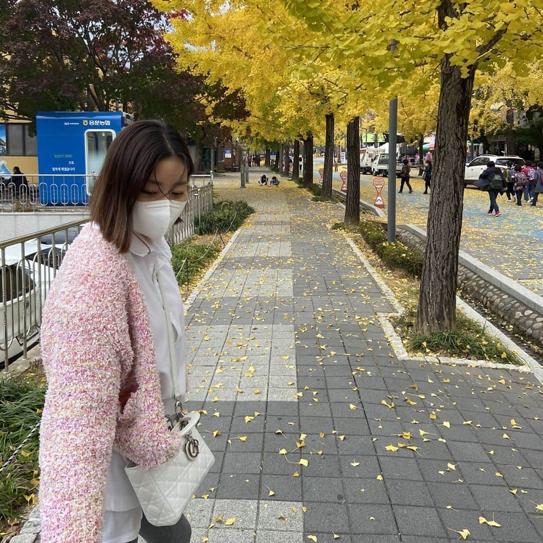 カン・ソラさんのインスタグラム写真 - (カン・ソラInstagram)「#은행나무아래서 #가을길」10月25日 14時36分 - reveramess_