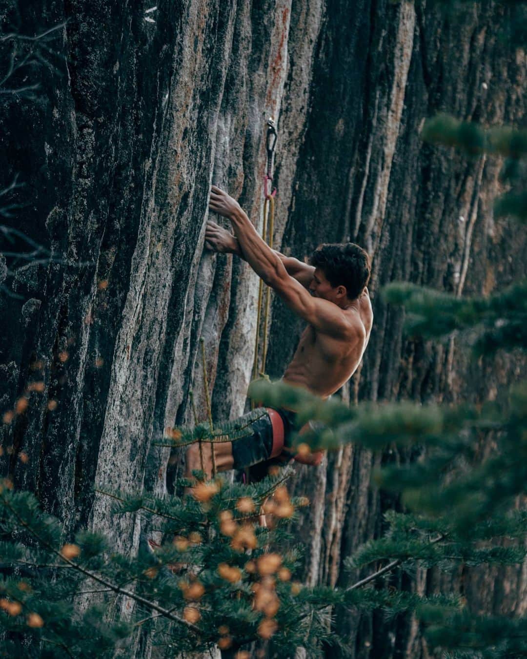 のインスタグラム：「Empath (5.15a  9a+)  For the last week I've been in Tahoe, climbing with and learning from a legendary crew. They keep a good schedule with boulders, ropes, and almost enough rest. Days are high energy, filled with purpose and shared psych. Nights are about unwinding, reminiscing, but most of all, preparing for the next day. It's inspiring to be around such motivation every day, and I know it's helped my climbing ability.   Thank you to @carlodenali for making this rig possible, @dawoods89 and @jwebxl for the beta, and @keenantakahashi for keeping me in the zone with words from the belay🙏  📸 @ross.fulkerson   @thenorthface @petzl_official @scarpana @gnarlynutrition」