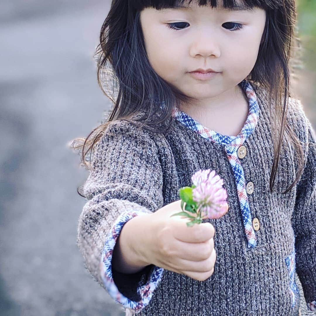 吉村美樹さんのインスタグラム写真 - (吉村美樹Instagram)「可愛いお花、ありがとう☺💮 #娘からのプレゼント #お花 #アカツメクサ #赤詰草 #ピンク色 #可愛いね #2歳8ヶ月 #ありがとう #💮」10月25日 14時53分 - yoshimuramiki0911