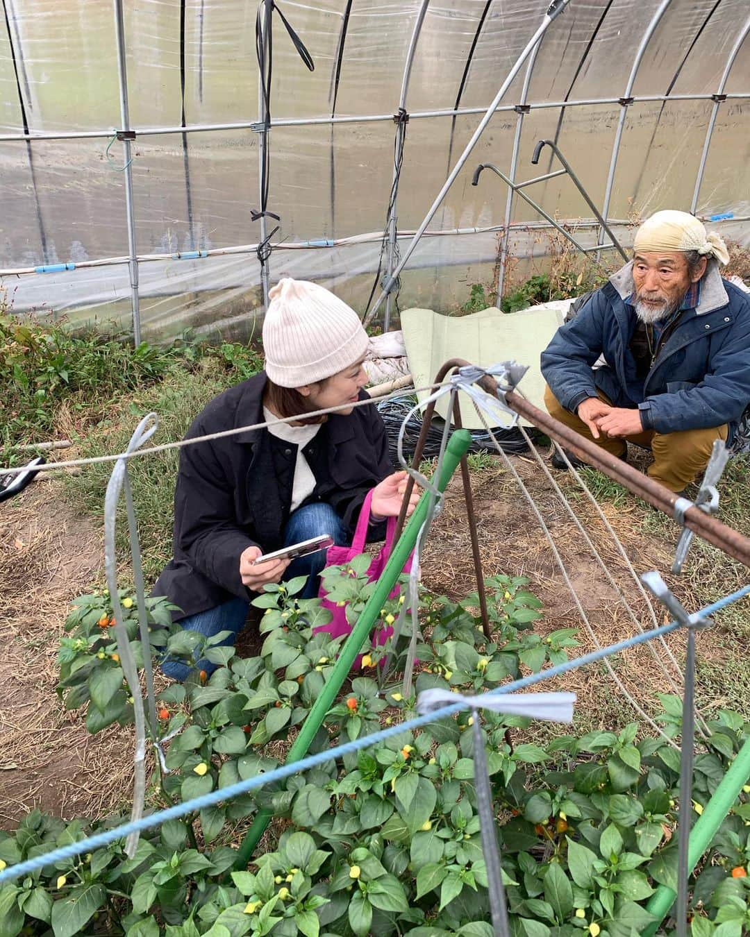 加藤紀子さんのインスタグラム写真 - (加藤紀子Instagram)「北海道美瑛で会いたかった人のお一人、“百姓や”青木さん。  前回青木さんの野菜に一目惚れし、今回はあつかましくも畑に伺わせて頂き、見たことないお野菜達を色々味見させてもらってきました。  一口食べては「うまっ！」「味濃っ！」唸ってばかり🥰 野菜作りのこだわりのような、 貴重なお話も聞かせてもらえて嬉しかったぁ。 いつかは修行…🤲なんてね。  #百姓や #カトノリ農園  #畑からこんにちは #加藤紀子のおいしい話」10月25日 15時38分 - katonoriko