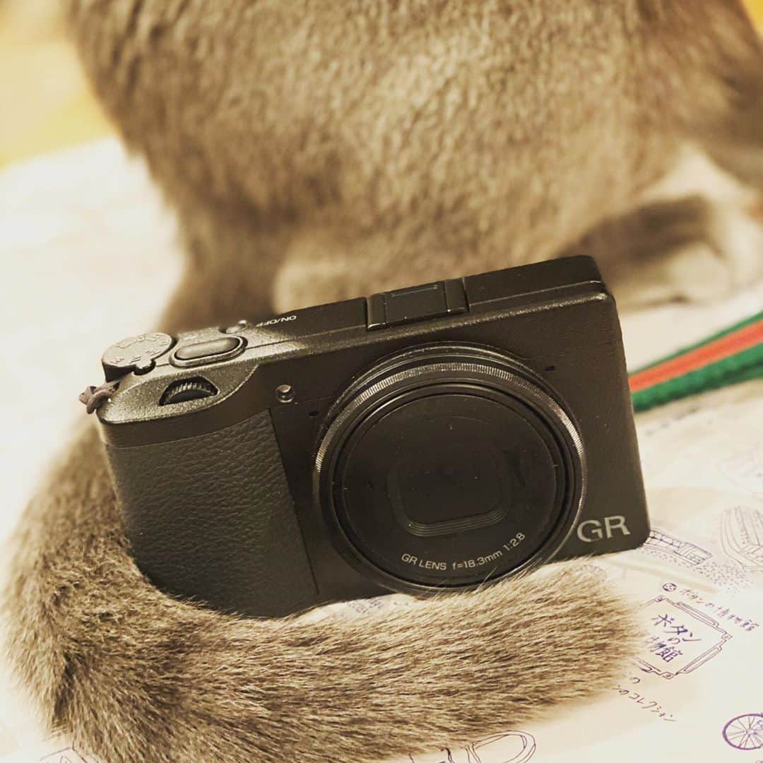 植田佳奈のインスタグラム：「#grmeet #mygr #gr3 #richo」