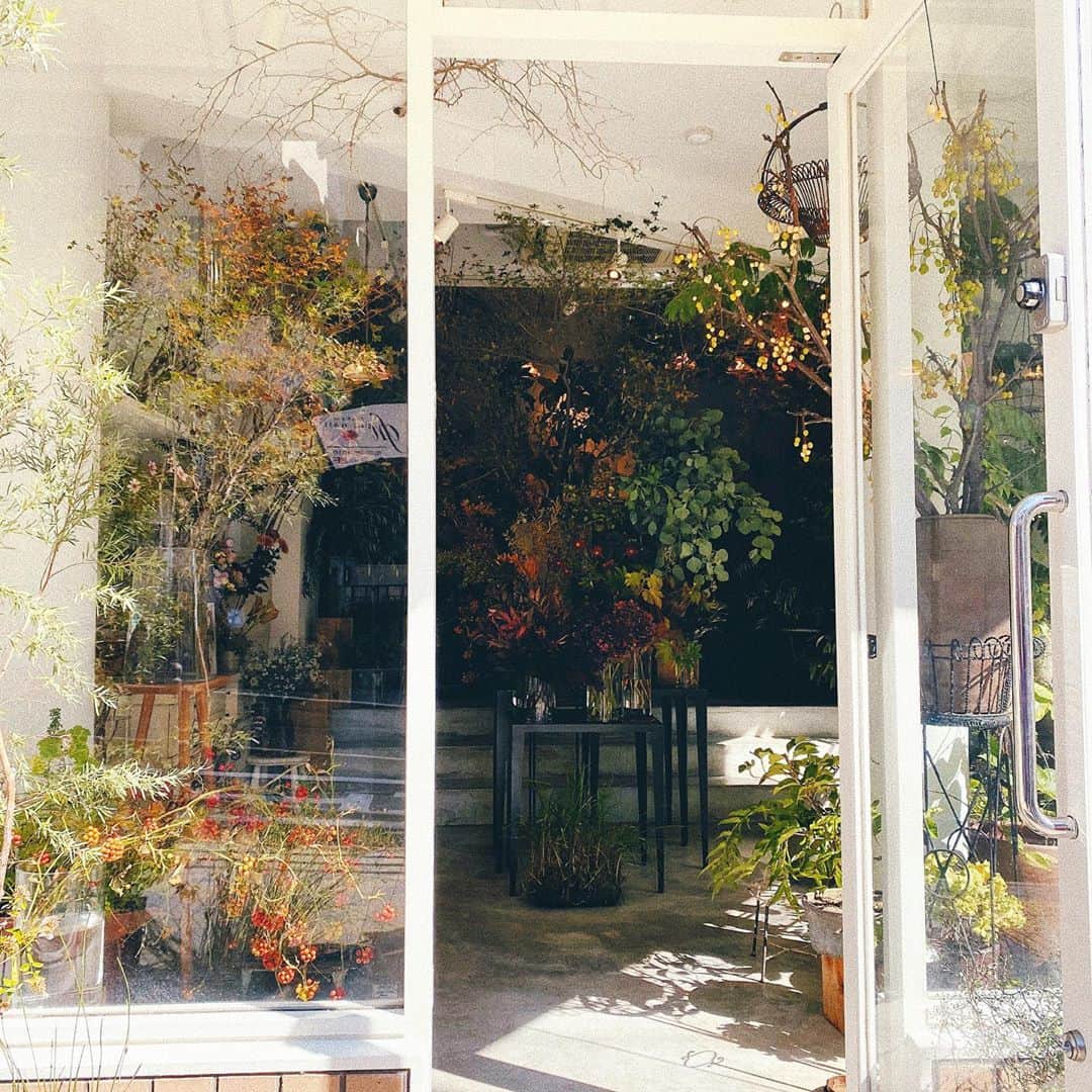 のインスタグラム：「お家にある緑は全てこちらのお店で❤︎ 素敵な空間🌿 @vestita00  . . #グリーン #六甲 #神戸」