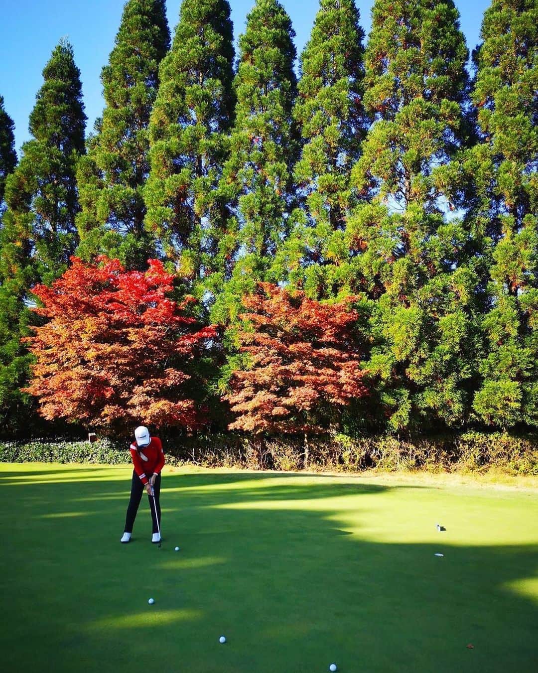 セキユウティンのグルメインスタ