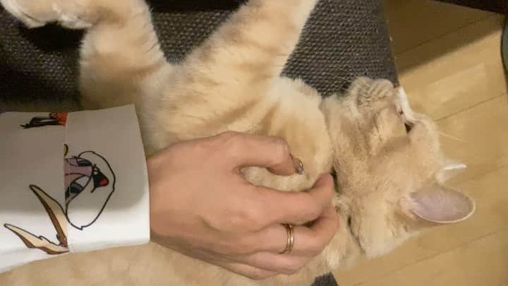 赤西涼のインスタグラム：「あまえんぼ❤️❤️❤️」
