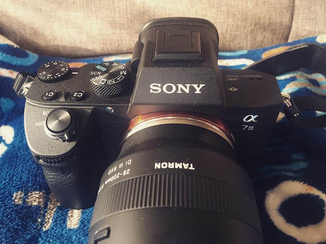 関沢圭司のインスタグラム：「カメラ買ってました‼︎ちょっと前に😁 誰か！何か！撮らせて〜😃  大きめのカメラって街中で出しにくいね🤣w  #a7iii」