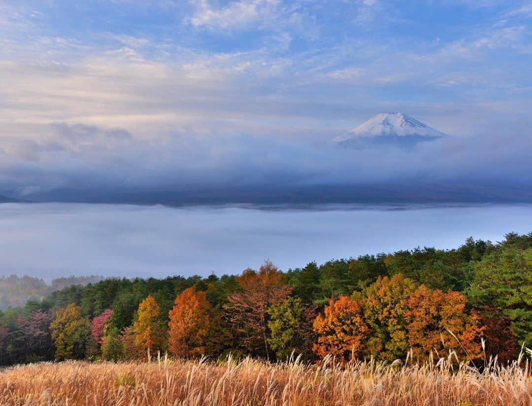 phantastic420のインスタグラム：「. 🤩🤩“Shizuoka” prefecture in Japan is a place where you can see the most “phantastic” Mt. Fuji🗻 in the world.🤩 #富士山 #mtfuji #japan  #phantastic420photography #mostphantasticmtfuji #selamatpagi  #goodmorning  #おはようございます  #สวัสดี 🙏#สวัสดีครับ 🙏🇹🇭😇😇😇😇😇🗻😇😇😇😇 🇹🇭#Thailand now 🤣#サワディーカップ 🙏#サワディー 🙏 残念ながらこれも静岡ではありません🤣」