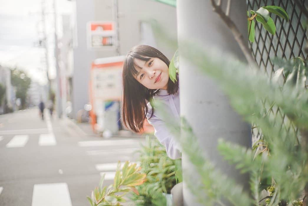 柴真緒さんのインスタグラム写真 - (柴真緒Instagram)「・ お散歩👟  紅葉狩りに行きたいななんて思ったら面白いことを思い出しました✨✨  みなさん、なぜ紅葉するか知っていますか？💭  寒くなり光合成から得られるエネルギーが少なくなり、葉っぱに養分を送ることが効率が悪くなって葉っぱを落とし（落葉）ます🍂 その際に、葉っぱを作っている有機物のうち養分となるもの（窒素源）を落葉前に葉から植物本体に送り出します。 この養分を取り出す過程で葉の緑色（葉緑体）を分解し紅葉するのです🍁 この前、本を読んで知りました📚  #水コン #徽音祭 #ミスコン」10月25日 18時16分 - mao.shiba_