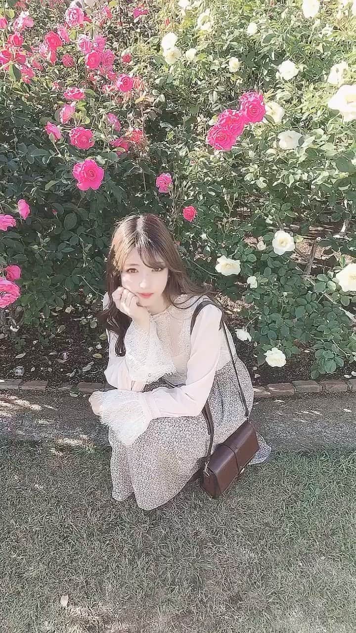 れみぱんのインスタグラム：「薔薇も綺麗で天気も良くてあったかくて楽しかった🧚🏻‍♀️🌹 : #秋薔薇 #バラ #バラ園 #rose」