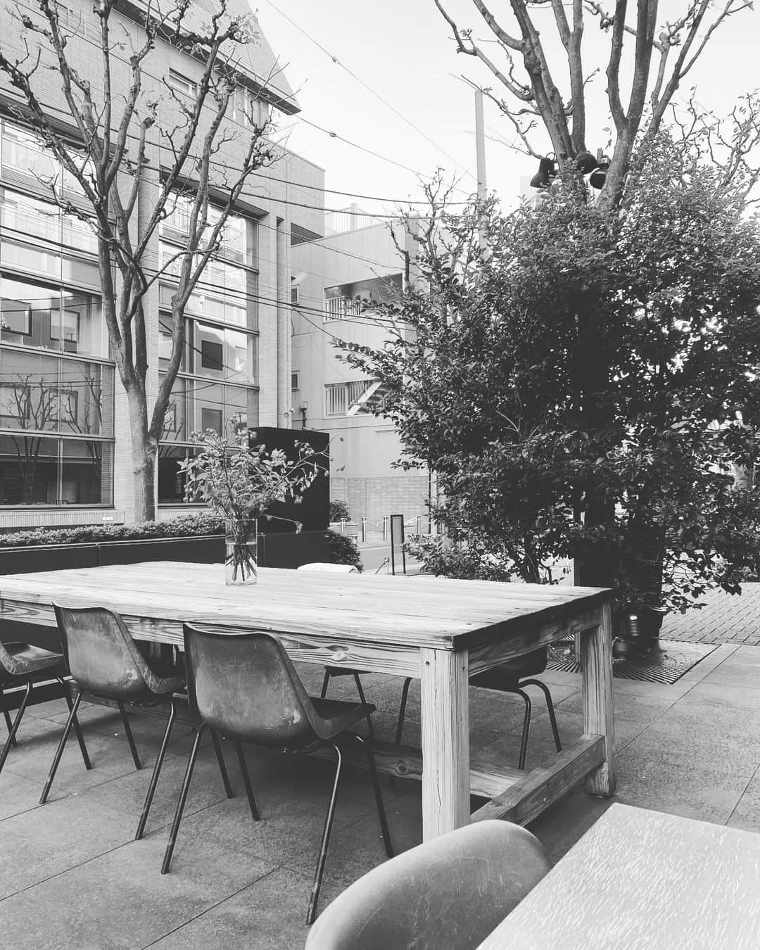 平山真弓のグルメインスタ