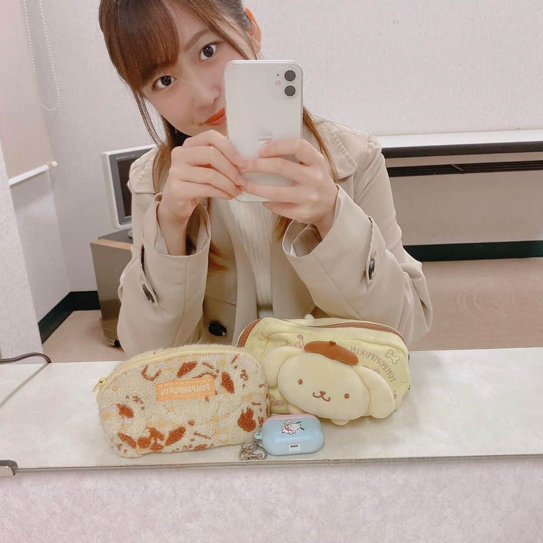 野中美希さんのインスタグラム写真 - (野中美希Instagram)「サンリオグッズがたくさんで幸せです…🤎💛 実は今サンリオグッズ頼んであるので届くのが楽しみ✨ #好きな#サンリオキャラ#誰ですか#🥰 . #サンリオ女子#ポムポムプリン #ポチャッコ#サンリオ#ポーチ#かわいい#helloproject#morningmusume#野中美希#ちぇる」10月25日 18時36分 - miki_nonaka.official