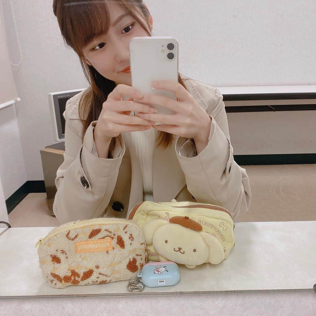 野中美希さんのインスタグラム写真 - (野中美希Instagram)「サンリオグッズがたくさんで幸せです…🤎💛 実は今サンリオグッズ頼んであるので届くのが楽しみ✨ #好きな#サンリオキャラ#誰ですか#🥰 . #サンリオ女子#ポムポムプリン #ポチャッコ#サンリオ#ポーチ#かわいい#helloproject#morningmusume#野中美希#ちぇる」10月25日 18時36分 - miki_nonaka.official