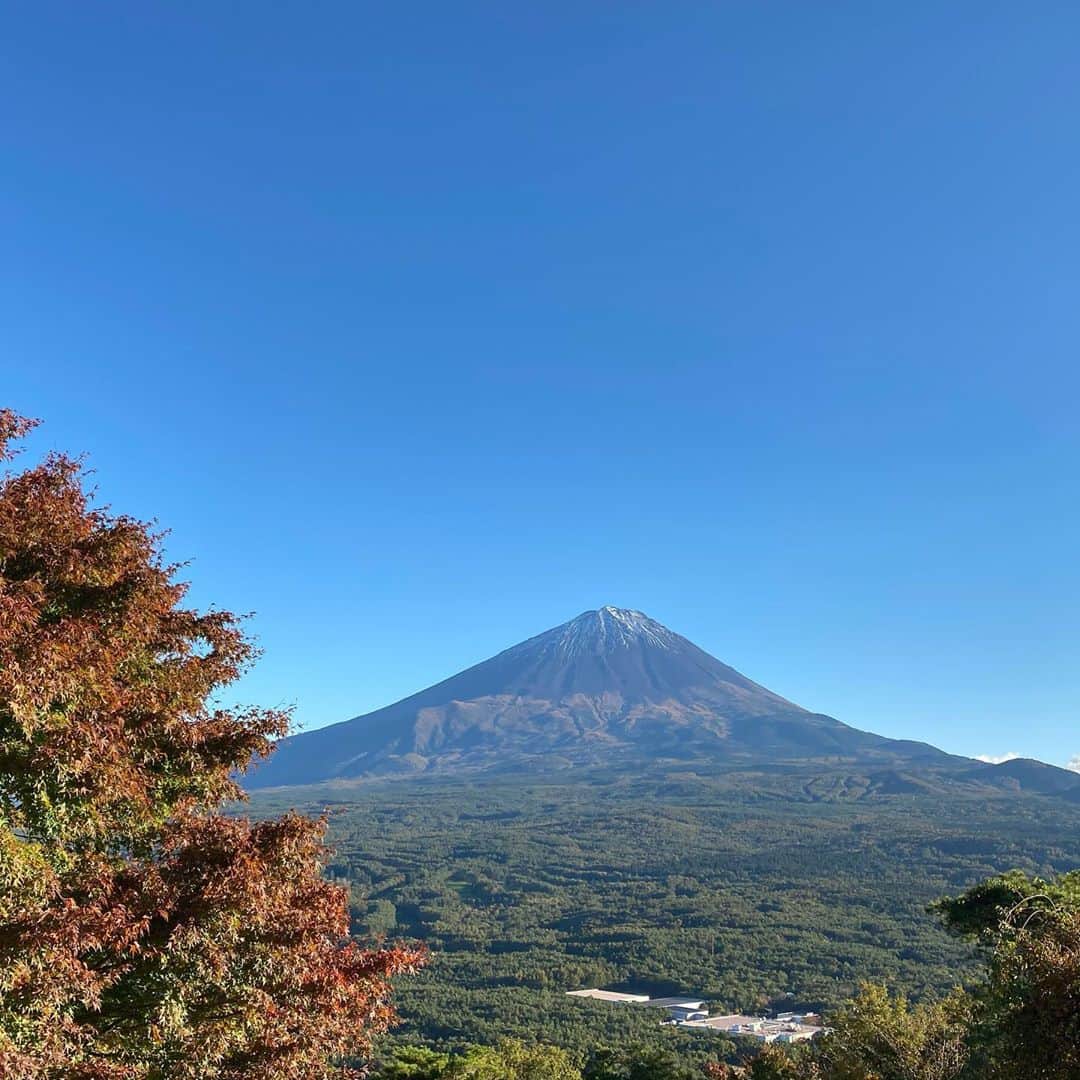 岡田美里さんのインスタグラム写真 - (岡田美里Instagram)「和子ちゃんとクック🐕と三湖台に行って夕陽が沈むまでのんびりしました。 歩いてしか行かれないところにこそ絶景が。」10月25日 18時33分 - millieokada