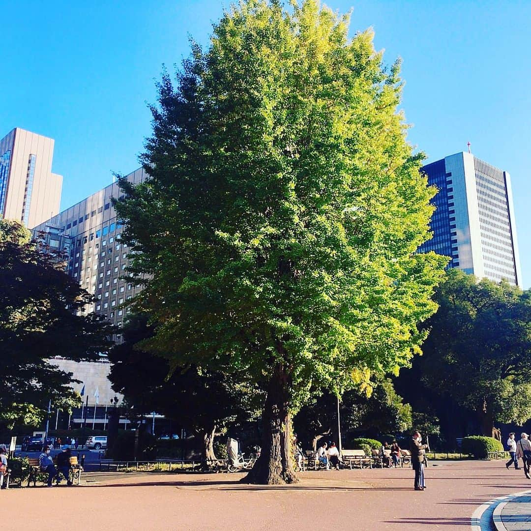 優妃のインスタグラム：「Can you find me?  #hibiyapark #findme #beautifulsunnyday #justwalking #松本楼 #洋食ランチ」