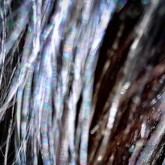 のインスタグラム：「New Hair ✂︎✂︎✂︎ ほんのりパープルを感じるシルバーのインナーカラーがとても素敵で、太陽に透かして眺めてる✨」