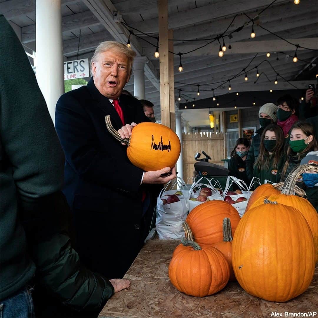 ABC Newsさんのインスタグラム写真 - (ABC NewsInstagram)「Pres. Donald Trump holds a pumpkin he signed while making a stop at Treworgy Family Orchard in Maine, joking "that'll be on eBay tonight." #trump #potus #politics #campaign #us」10月26日 6時00分 - abcnews
