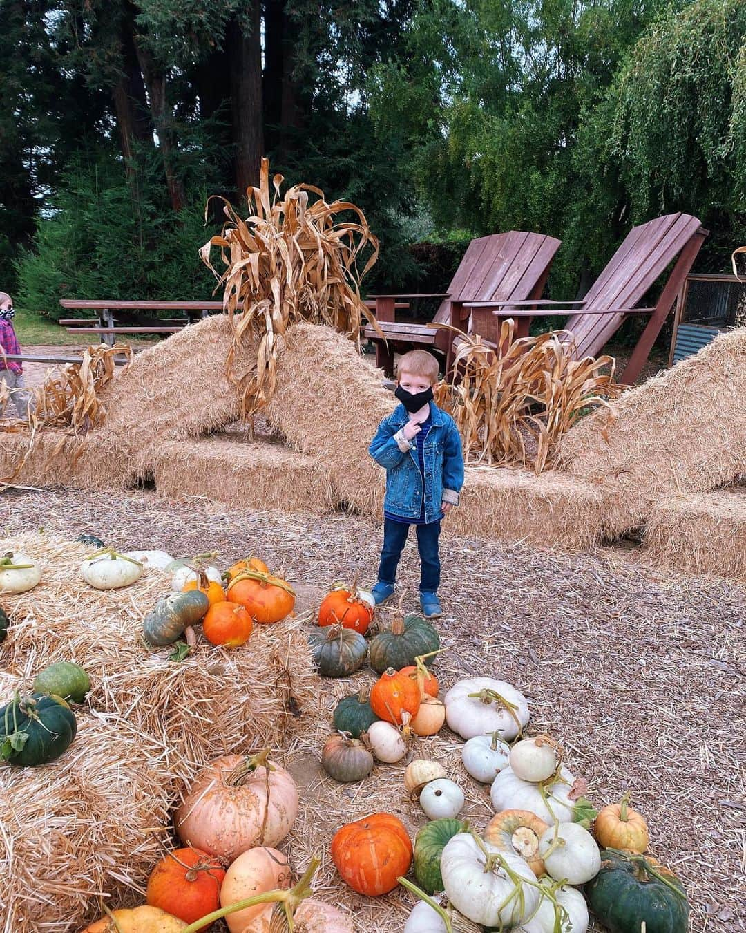 マンディクーンのインスタグラム：「Pumpkin patchin. 🎃」