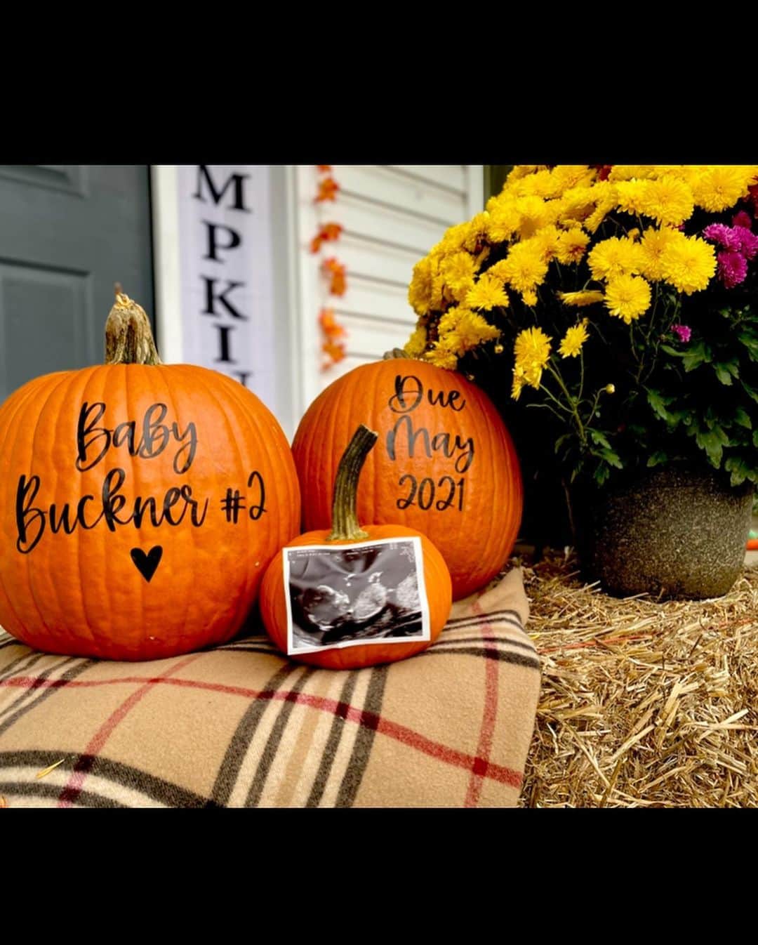 ディーナ・ニコール・コルテーゼさんのインスタグラム写真 - (ディーナ・ニコール・コルテーゼInstagram)「We’re  so excited to announce we’re expecting Baby Buckner #2 May 1, 2021 🥰 Our hearts are filled with so much love and joy! CJ is going to be the best big brother ever!!! #blessed #growingfamily  sooo for everyone that was asking YES YES YES ..I’m pregnant ❤️☺️ #ismellachild #cantscarememywifeispregnant  #Itsnotrickimgonnabeabigbrother」10月26日 5時38分 - deenanicole
